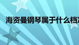 海资曼钢琴属于什么档次的（海资曼钢琴）