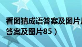 看图猜成语答案及图片月亮和鸟（看图猜成语答案及图片85）