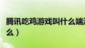 腾讯吃鸡游戏叫什么端游（腾讯吃鸡游戏叫什么）