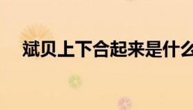 斌贝上下合起来是什么字（斌贝念什么）