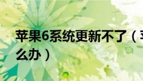 苹果6系统更新不了（苹果6系统更新不了怎么办）