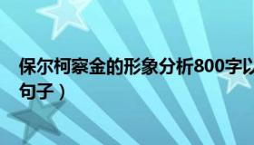 保尔柯察金的形象分析800字以上（保尔柯察金的形象分析句子）