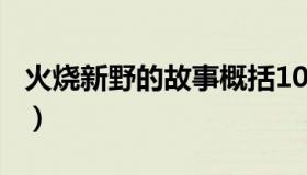 火烧新野的故事概括100字（火烧新野的故事）