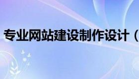 专业网站建设制作设计（专业网站建设制作）