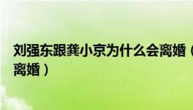 刘强东跟龚小京为什么会离婚（刘强东和前妻龚小京为什么离婚）