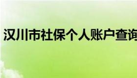 汉川市社保个人账户查询（汉川市社保查询）