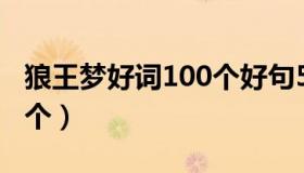 狼王梦好词100个好句50个（狼王梦好词100个）