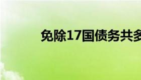 免除17国债务共多少元（免除）