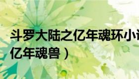 斗罗大陆之亿年魂环小说笔趣阁（斗罗大陆之亿年魂兽）