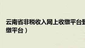 云南省非税收入网上收缴平台登录（云南省非税收入网上收缴平台）