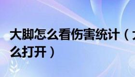 大脚怎么看伤害统计（大脚伤害统计隐藏了怎么打开）