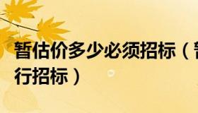 暂估价多少必须招标（暂估价超过多少可以进行招标）