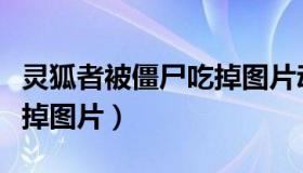 灵狐者被僵尸吃掉图片动漫（灵狐者被僵尸吃掉图片）