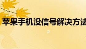 苹果手机没信号解决方法（苹果手机没信号）