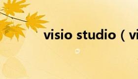 visio studio（visio studio）