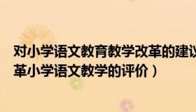 对小学语文教育教学改革的建议（当前应从哪些方面着手改革小学语文教学的评价）