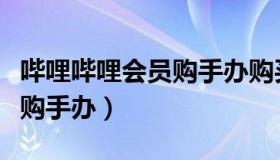 哔哩哔哩会员购手办购买流程（哔哩哔哩会员购手办）