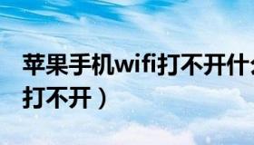 苹果手机wifi打不开什么原因（苹果手机wifi打不开）