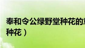 奉和令公绿野堂种花的意思（奉和令公绿野堂种花）