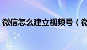 微信怎么建立视频号（微信怎么建立微信群）