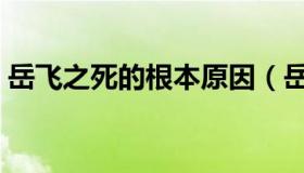 岳飞之死的根本原因（岳飞之死的真正原因）