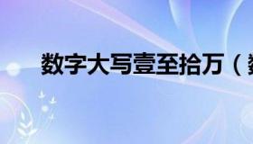 数字大写壹至拾万（数字大写翻译器）