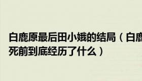 白鹿原最后田小娥的结局（白鹿原中结局最悲惨的田小娥 她死前到底经历了什么）