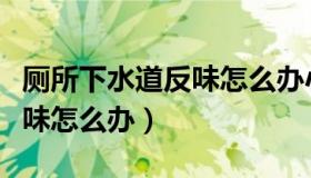 厕所下水道反味怎么办小苏打（厕所下水道反味怎么办）