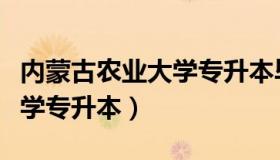 内蒙古农业大学专升本毕业证（内蒙古农业大学专升本）