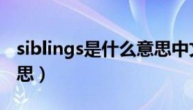 siblings是什么意思中文（siblings是什么意思）