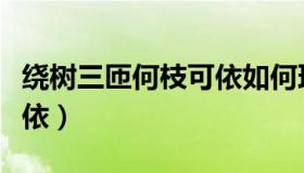 绕树三匝何枝可依如何理解（绕树三匝何枝可依）