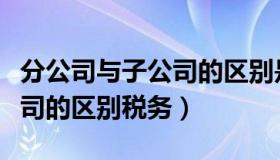 分公司与子公司的区别是什么（分公司与子公司的区别税务）