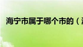 海宁市属于哪个市的（海宁市属于哪个市）