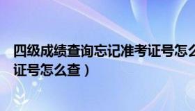 四级成绩查询忘记准考证号怎么查（四级成绩查询忘记准考证号怎么查）