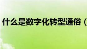 什么是数字化转型通俗（什么是数字化转型）