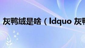 灰鸭绒是啥（ldquo 灰鸭绒 rdquo 是什么）