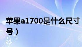 苹果a1700是什么尺寸（苹果a1700是什么型号）