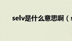 selv是什么意思啊（selv是什么意思）