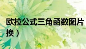 欧拉公式三角函数图片（欧拉公式三角函数转换）