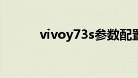 vivoy73s参数配置（vivoy73）