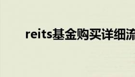 reits基金购买详细流程（reits基金）