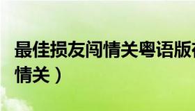 最佳损友闯情关粤语版在线观看（最佳损友闯情关）