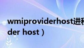 wmiproviderhost进程能关吗（wmi provider host）