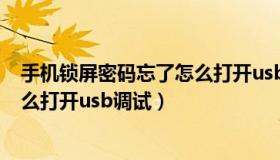 手机锁屏密码忘了怎么打开usb调试（手机锁屏密码忘了怎么打开usb调试）