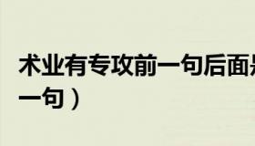 术业有专攻前一句后面是什么（术业有专攻前一句）