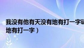 我没有他有天没有地有打一字谜什么字（我没有他有天没有地有打一字）