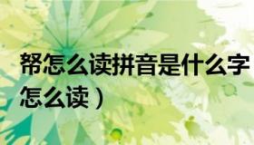 帑怎么读拼音是什么字（ldquo 帑 rdquo 字怎么读）