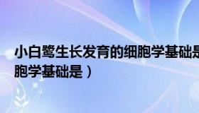 小白鹭生长发育的细胞学基础是什么（小白鹭生长发育的细胞学基础是）