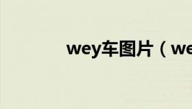 wey车图片（wey车怎么样）