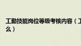 工勤技能岗位等级考核内容（工勤技能岗位的等级划分是什么）